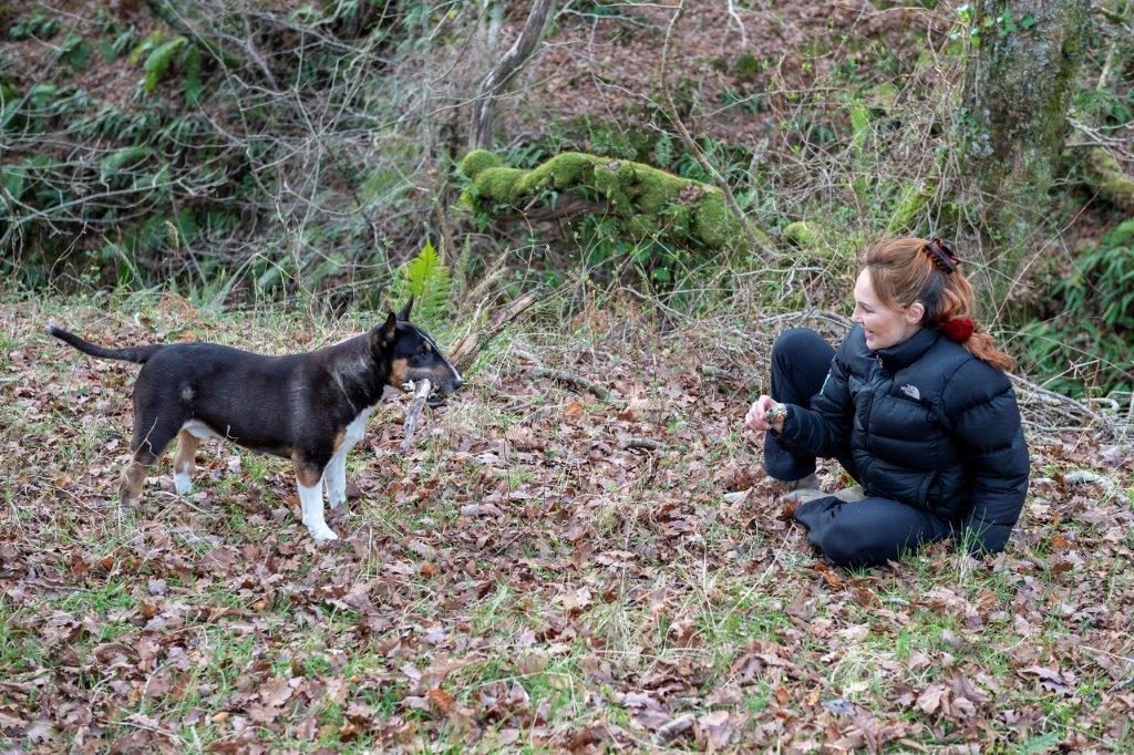 Honey Gives Cancer-stricken Dog New Lease of Life