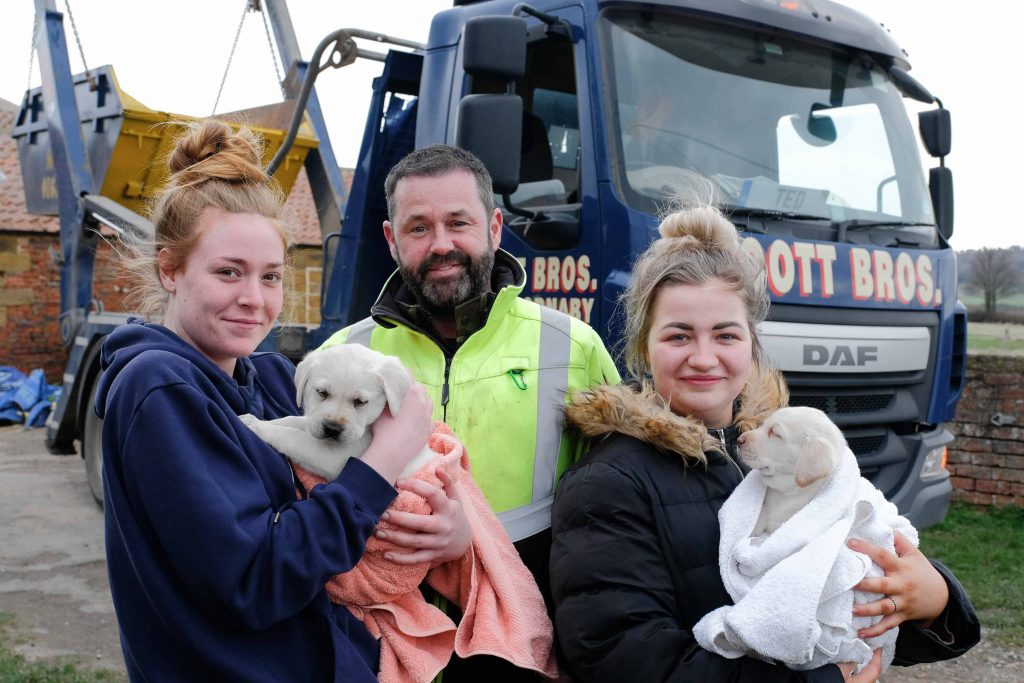 Recycling Experts Scott Bros. Offer ‘Skip-aid’ to Dog Rescue Charity