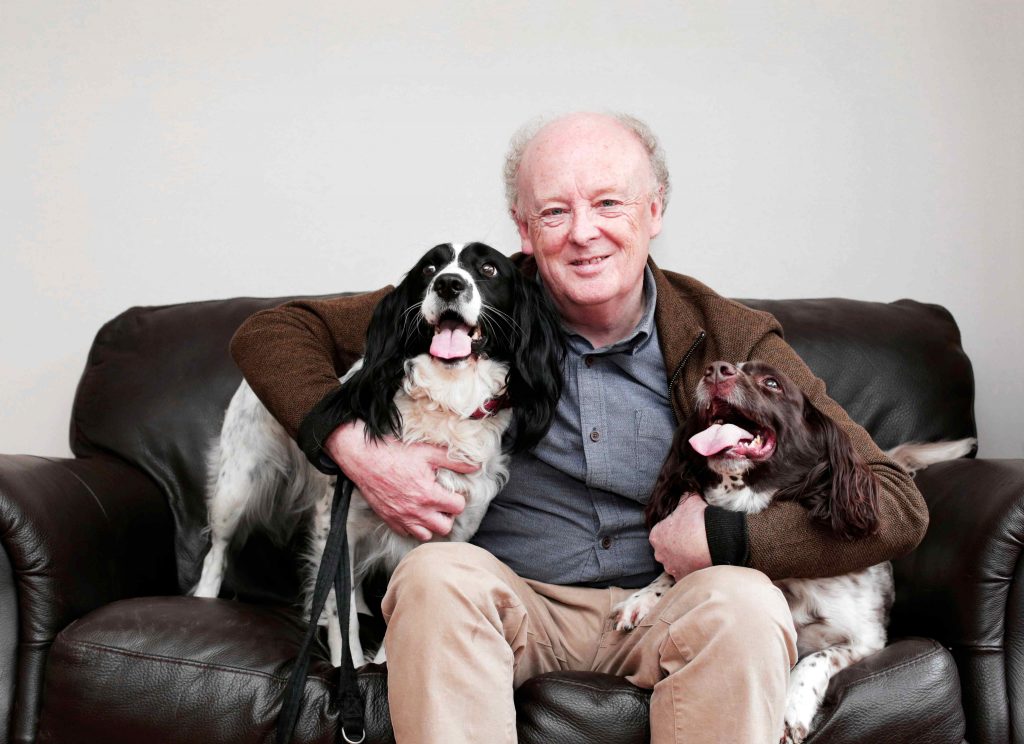 Spaniels Help to Simplify Meditation for All
