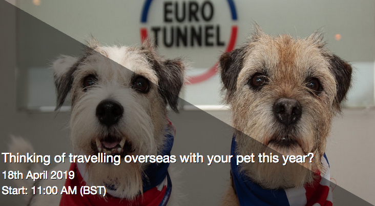Thinking of Travelling Overseas With Your Pet This Year?