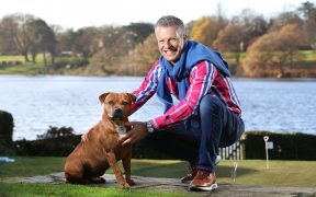 Nick and George the Staffordshire Bull Terrier