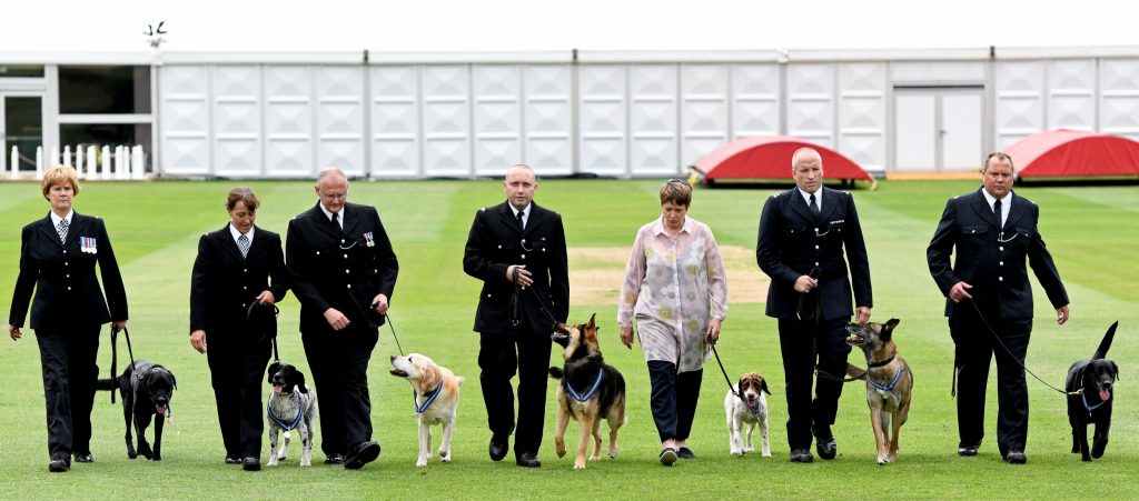 Animal OBEs Awarded To Police Dogs For London Terror Attack Heroics