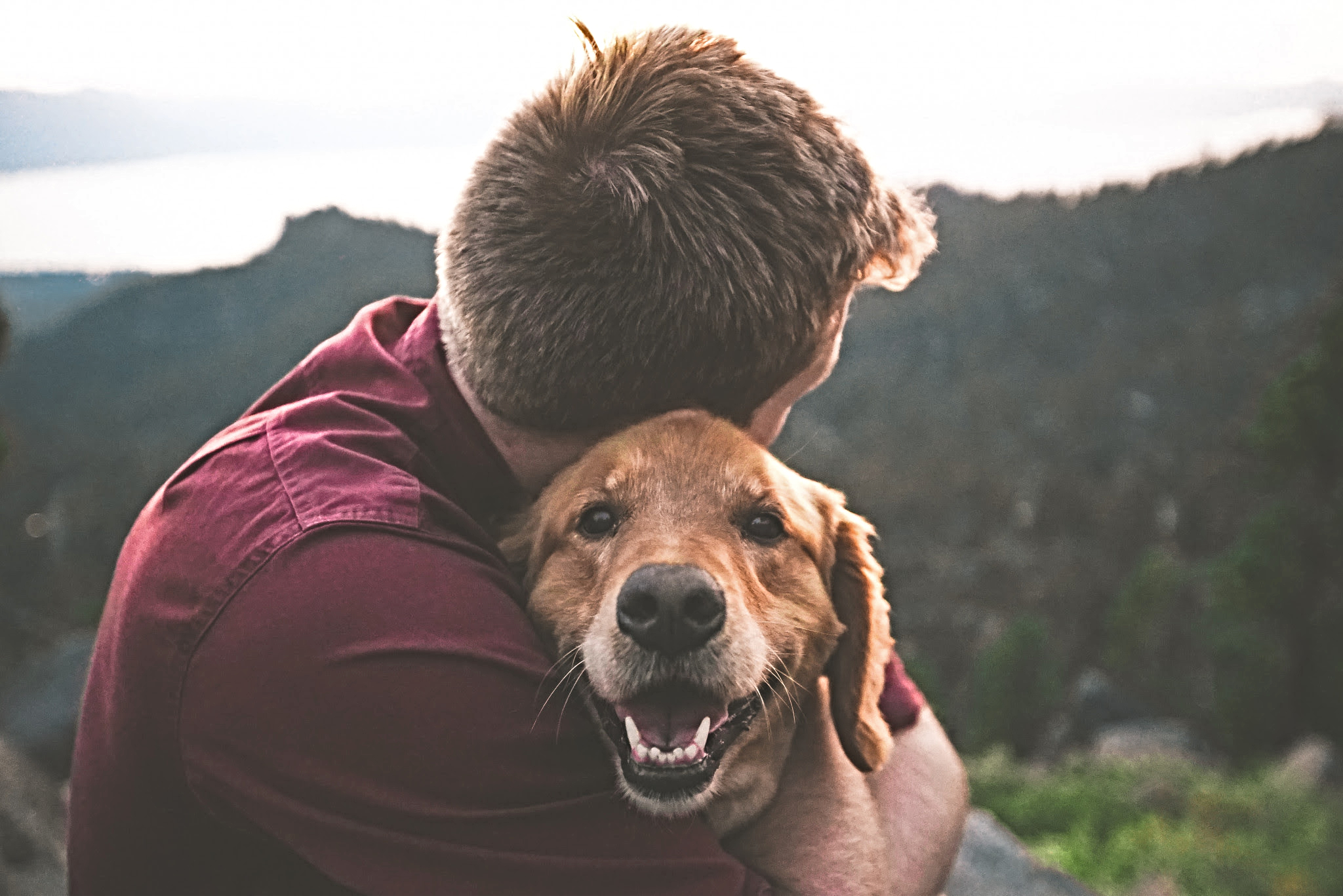 How To Spoil Your Pet This Valentine’s Day