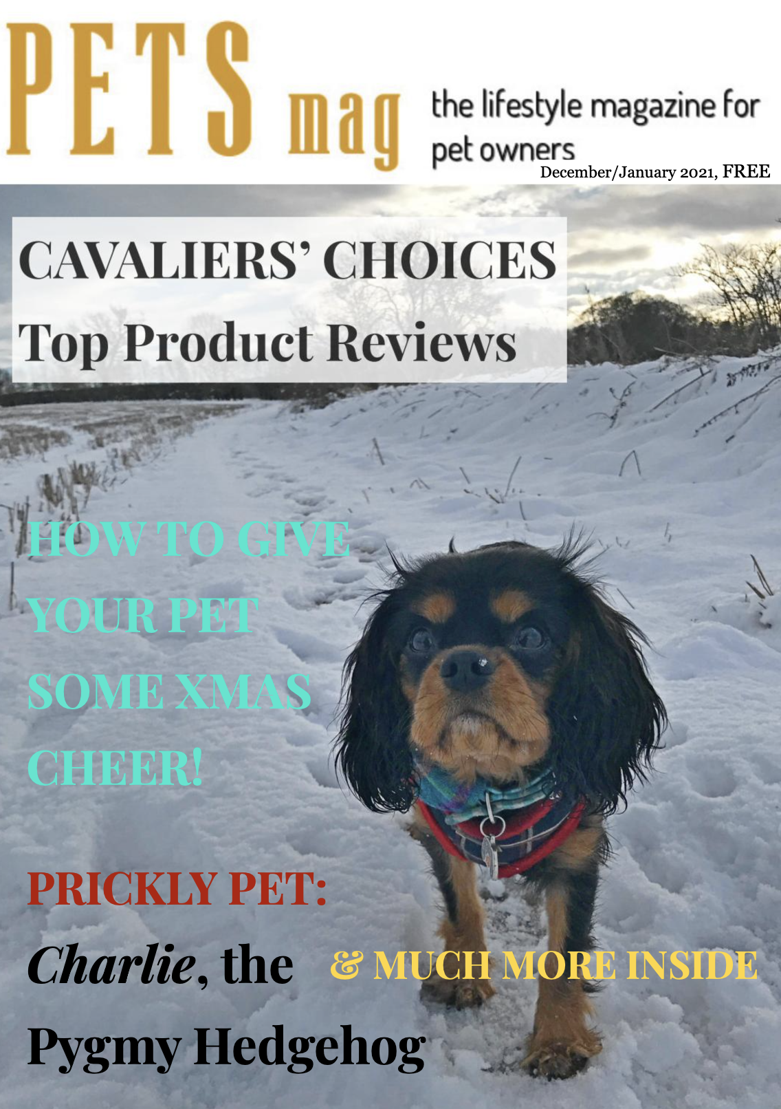 LATEST EDITION: Pets Magazine December – January 2021