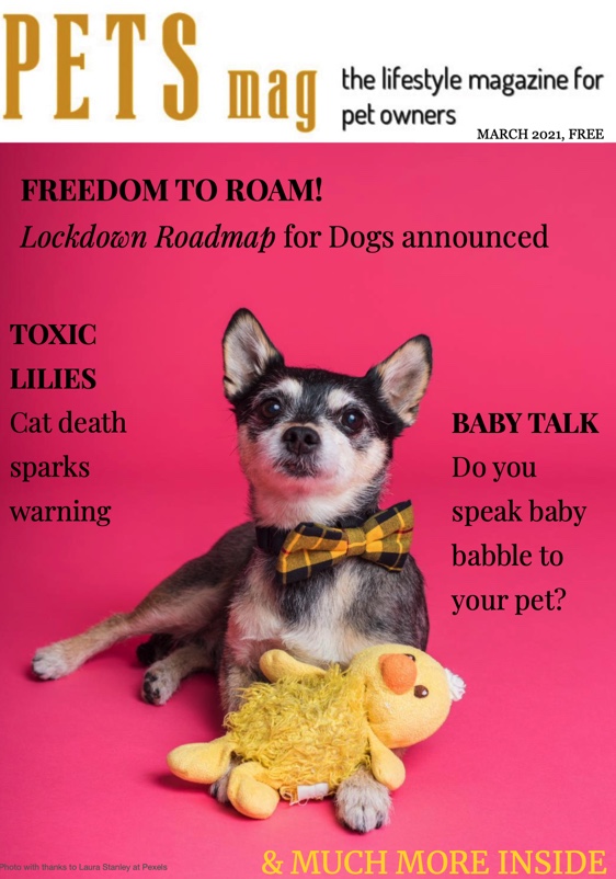 OUT NOW: Pets Magazine March