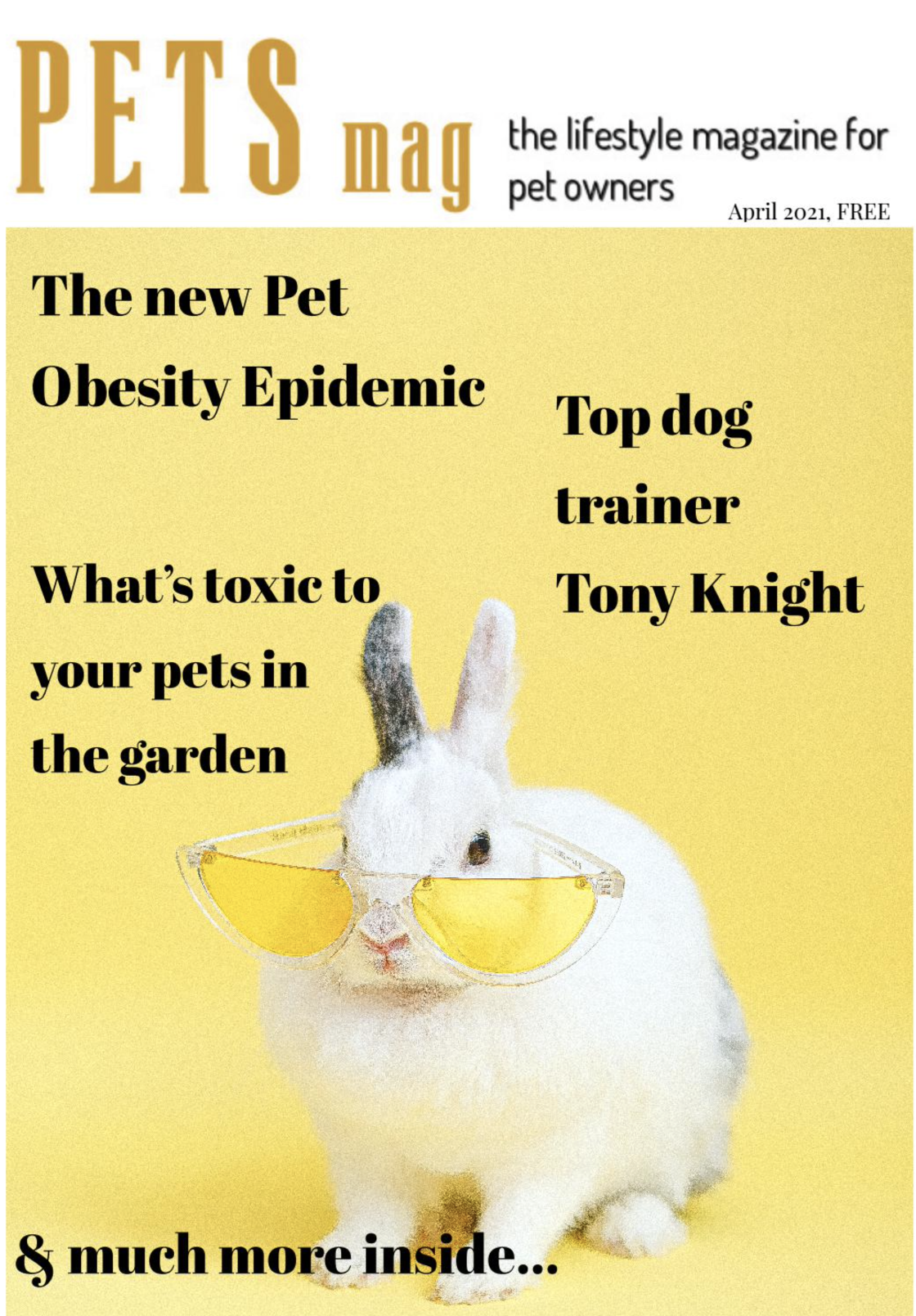 OUT NOW: Pets Magazine April