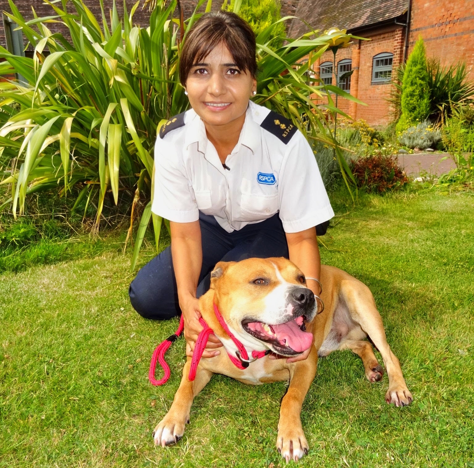 Dog shut in conservatory crate in 28C heat highlights dangers of hot weather