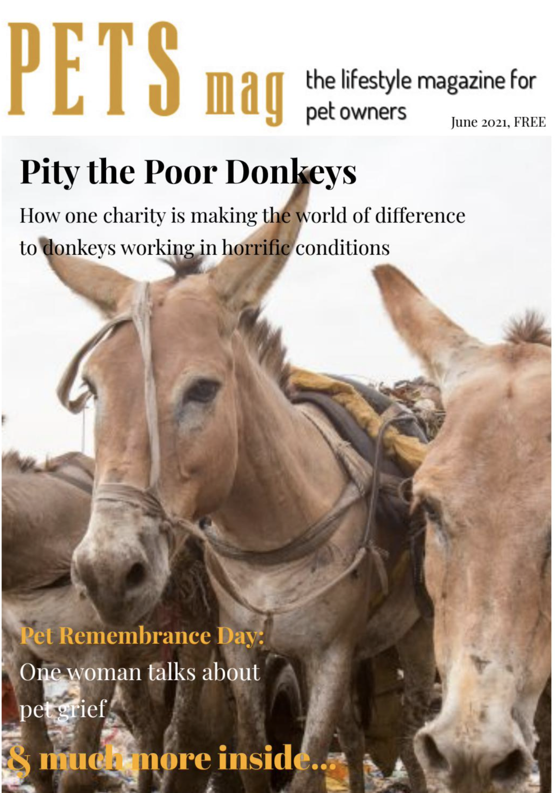 magazine cover