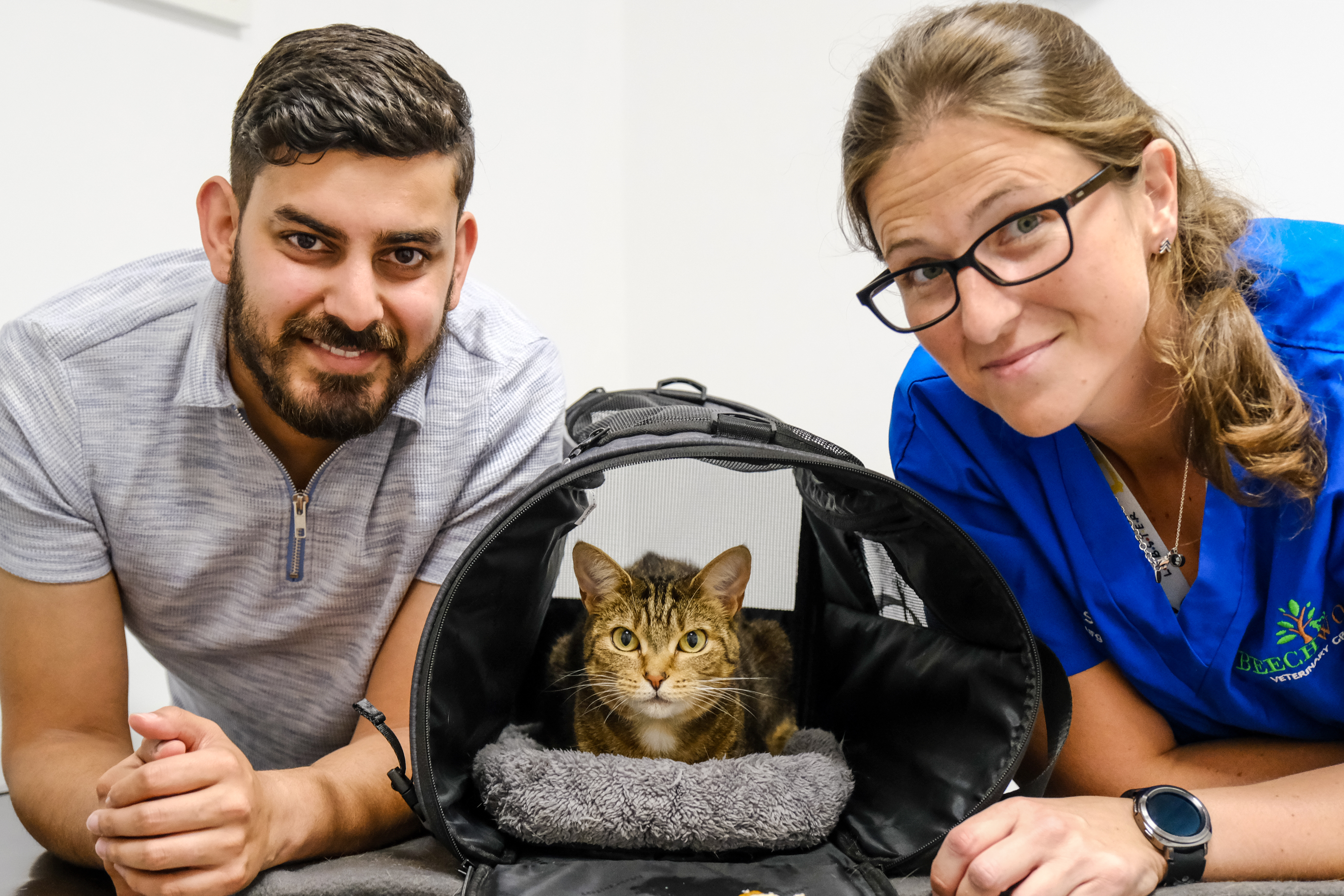 Air-rifle Attack Roxy the Cat Has Miraculous Recovery