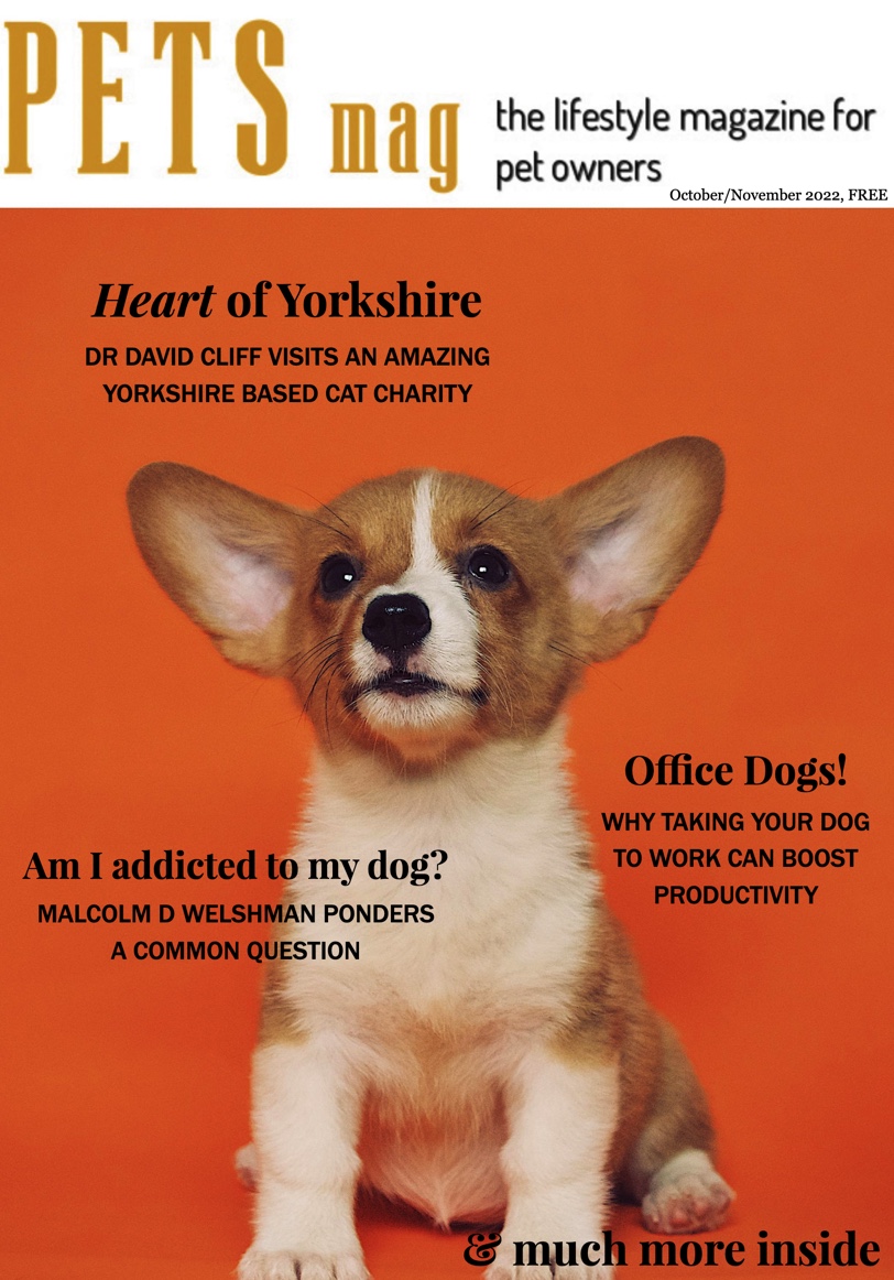 OUT NOW: Pets Magazine October|November 2022