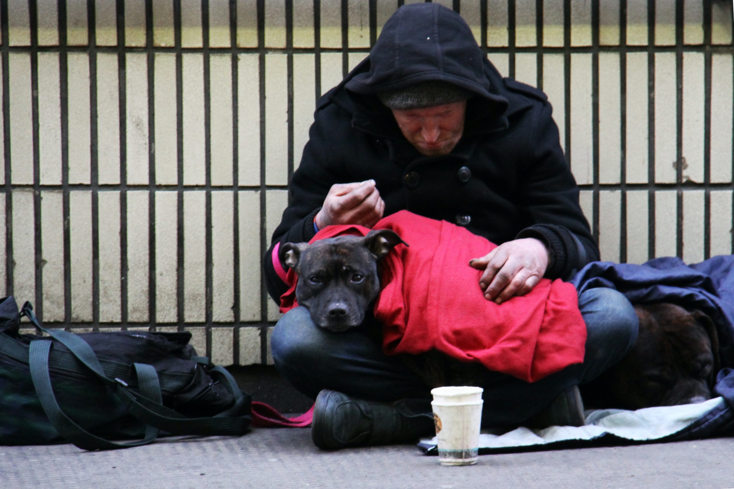 Too Many Homeless Pet Owners Left Out in the Cold This Winter, Warns Dogs Trust