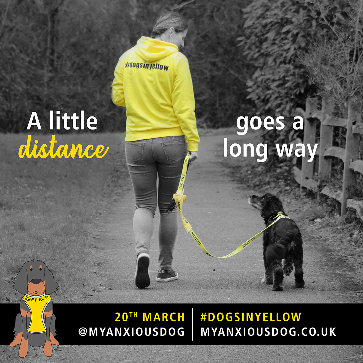 #DogsinYellow Campaign is Giving Owners of Anxious Dogs a New Lease of Life