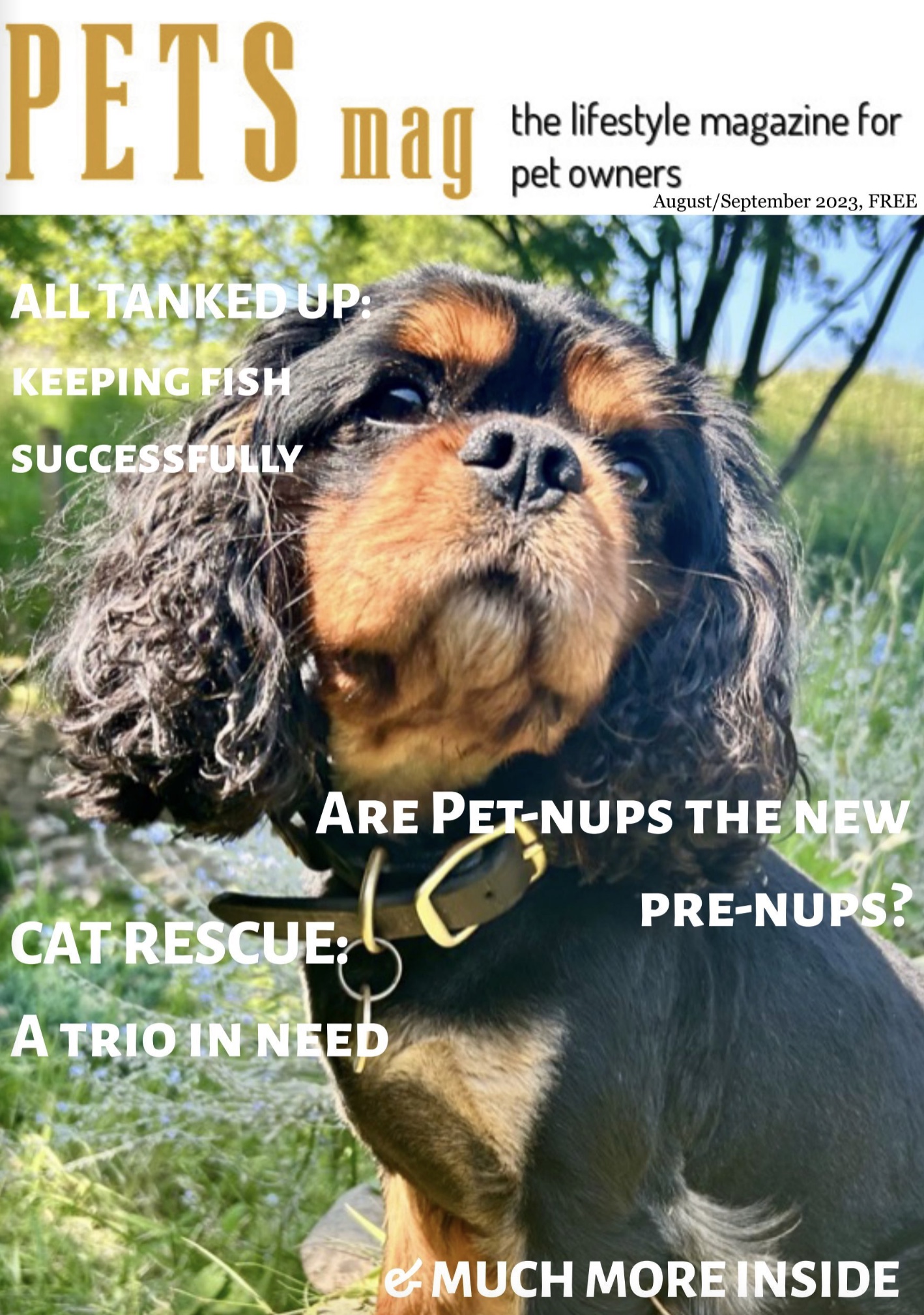 OUT NOW: Pets Magazine August-September 2023