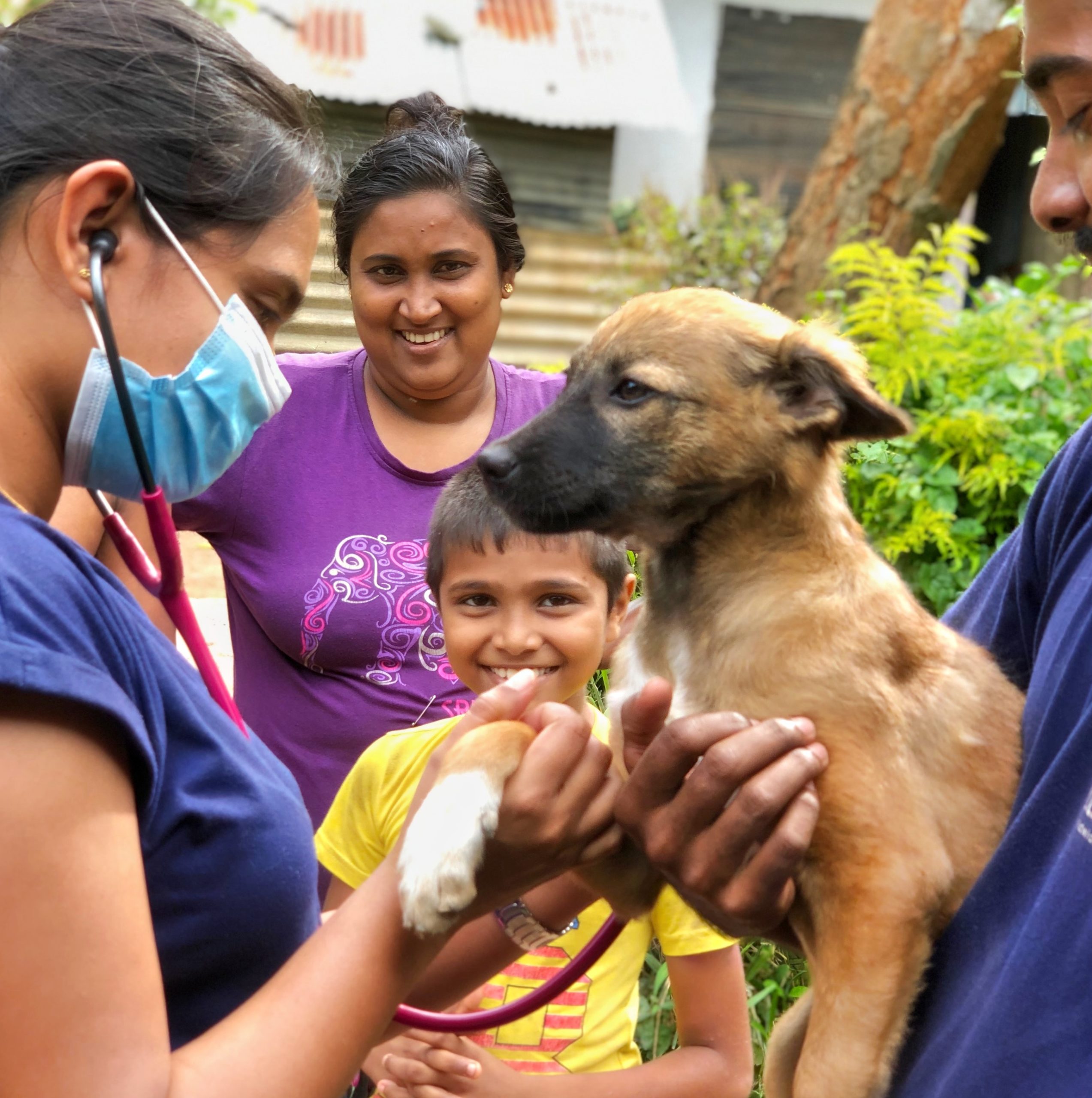The World’s First Dog Health Workers Ready to Eliminate Rabies