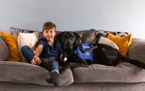 boy with his pet Labrador