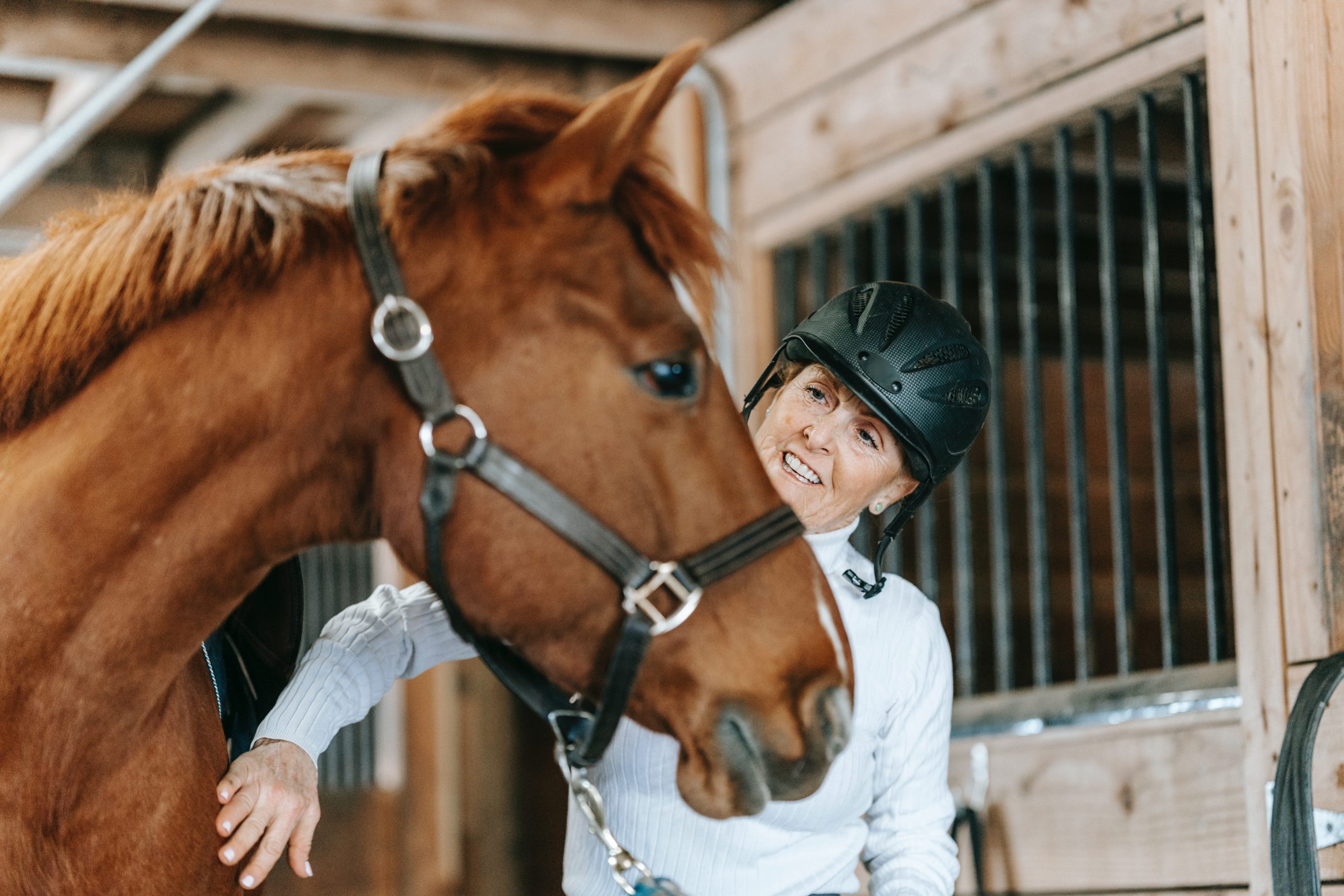 Horse-buying Hacks: 10 steps to Buying your First Horse