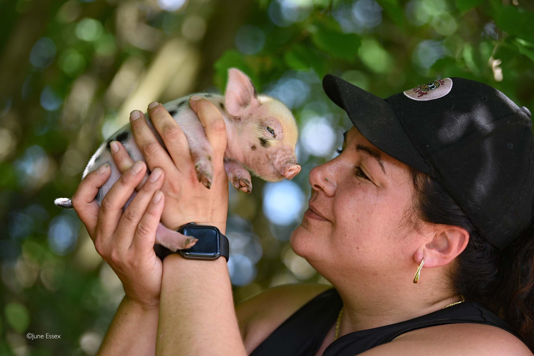 Woman holding piglet