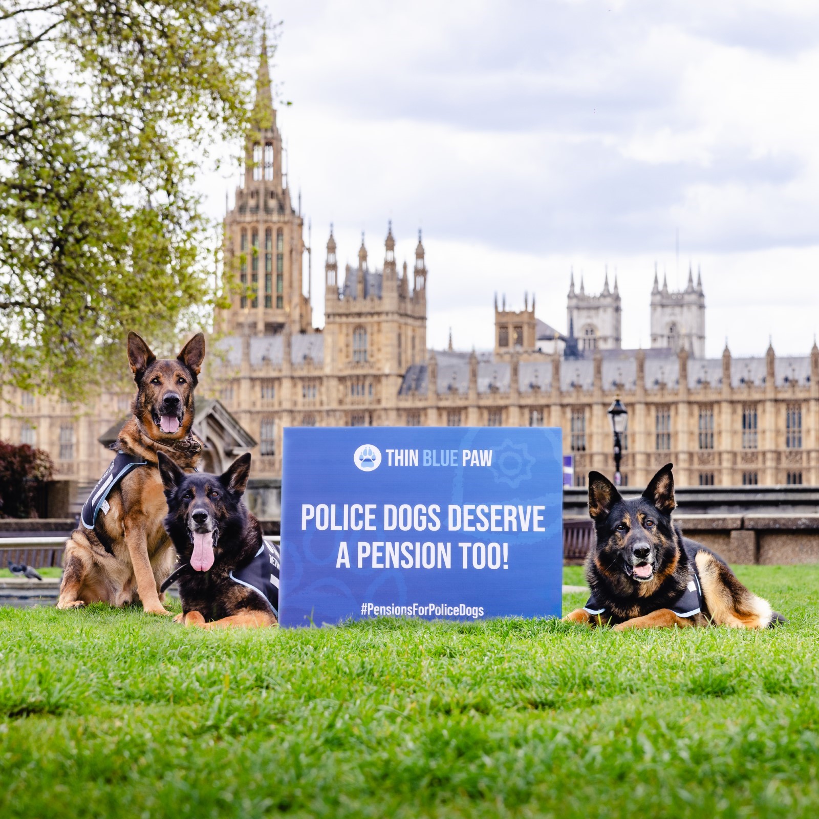 Police Dogs Join Charity Campaign to Petition Parliament for Pensions