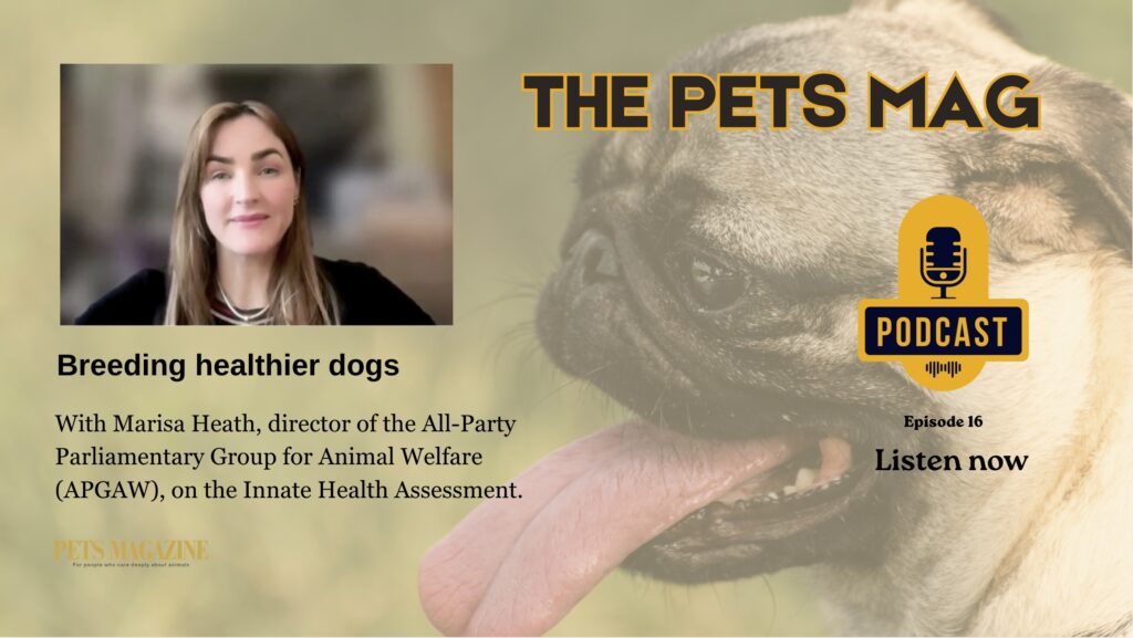 Pets mag podcast